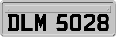 DLM5028
