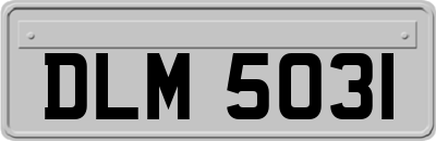 DLM5031