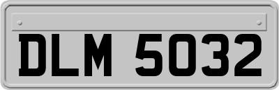 DLM5032