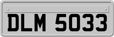 DLM5033