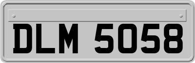 DLM5058