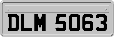 DLM5063