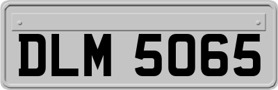 DLM5065
