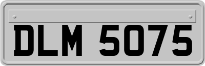 DLM5075