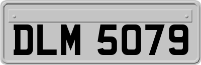 DLM5079