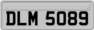DLM5089