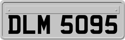 DLM5095