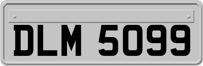 DLM5099
