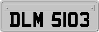DLM5103