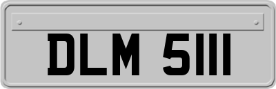 DLM5111