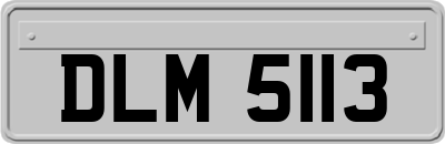 DLM5113
