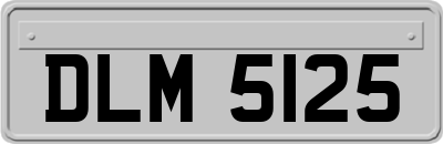 DLM5125