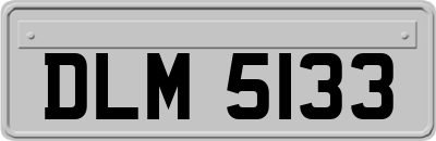 DLM5133