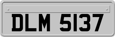 DLM5137