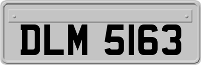 DLM5163