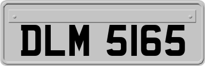 DLM5165