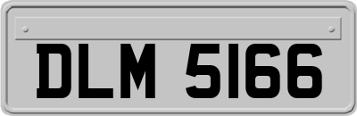 DLM5166