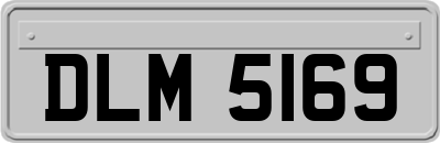 DLM5169