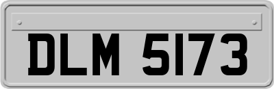 DLM5173