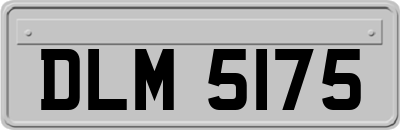 DLM5175