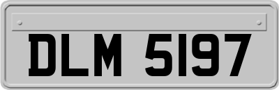 DLM5197