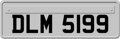 DLM5199