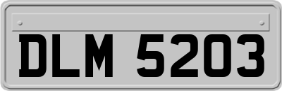 DLM5203