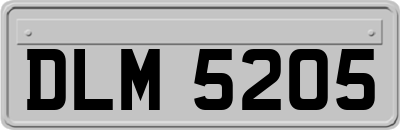 DLM5205