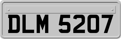 DLM5207