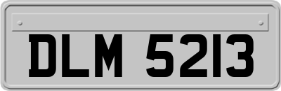 DLM5213