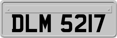DLM5217