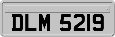 DLM5219