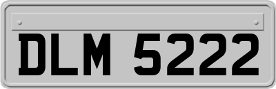 DLM5222