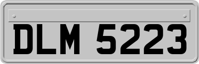 DLM5223