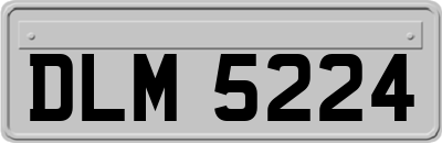 DLM5224
