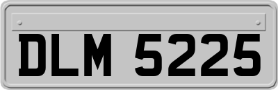 DLM5225
