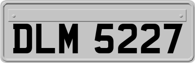 DLM5227