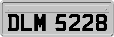 DLM5228