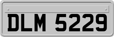 DLM5229