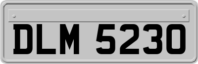 DLM5230