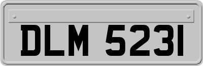 DLM5231