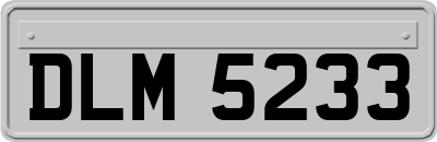 DLM5233