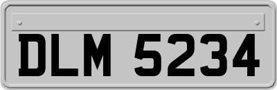 DLM5234