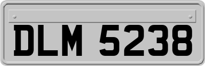 DLM5238