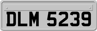 DLM5239