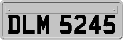 DLM5245