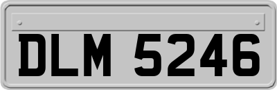 DLM5246