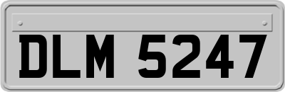 DLM5247