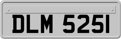 DLM5251