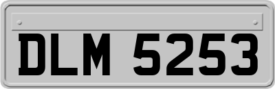 DLM5253